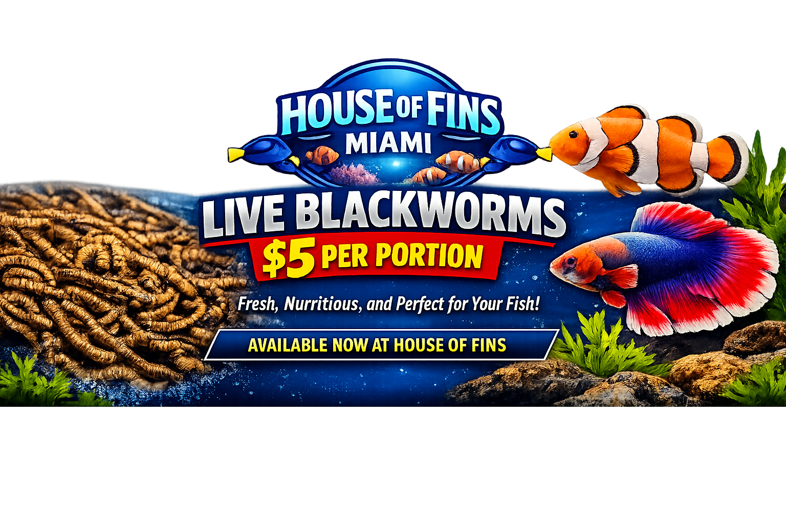 Live Blackworms — $5 per portion, available now at House of Fins